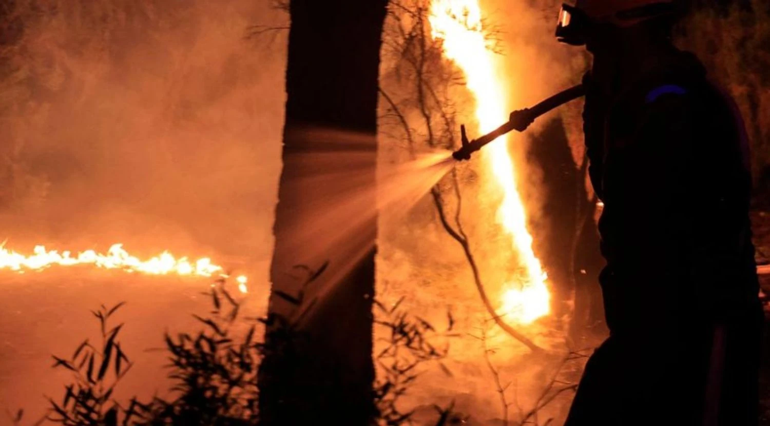 Українські Національні Новини (УНН)