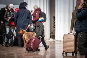 Реорганізація Міністерства нац
