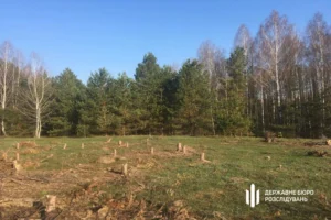 Українські Національні Новини (УНН)