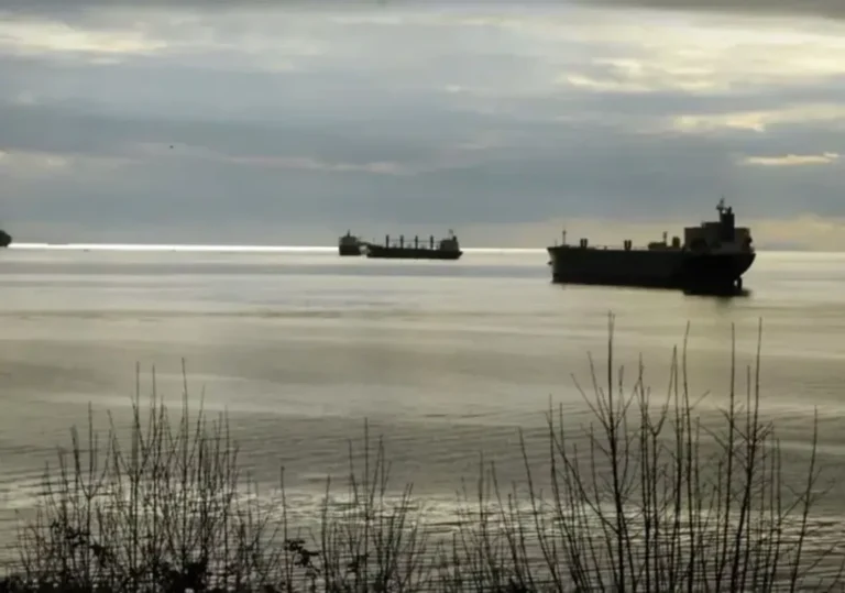 Санкції не діють? Розширення російського “тіньового флоту” нафтових танкерів триває – Reuters