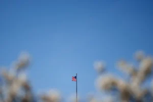 США збираються пропонувати підліткам-мігрантам $2500 за добровільне повернення додому - Bloomberg