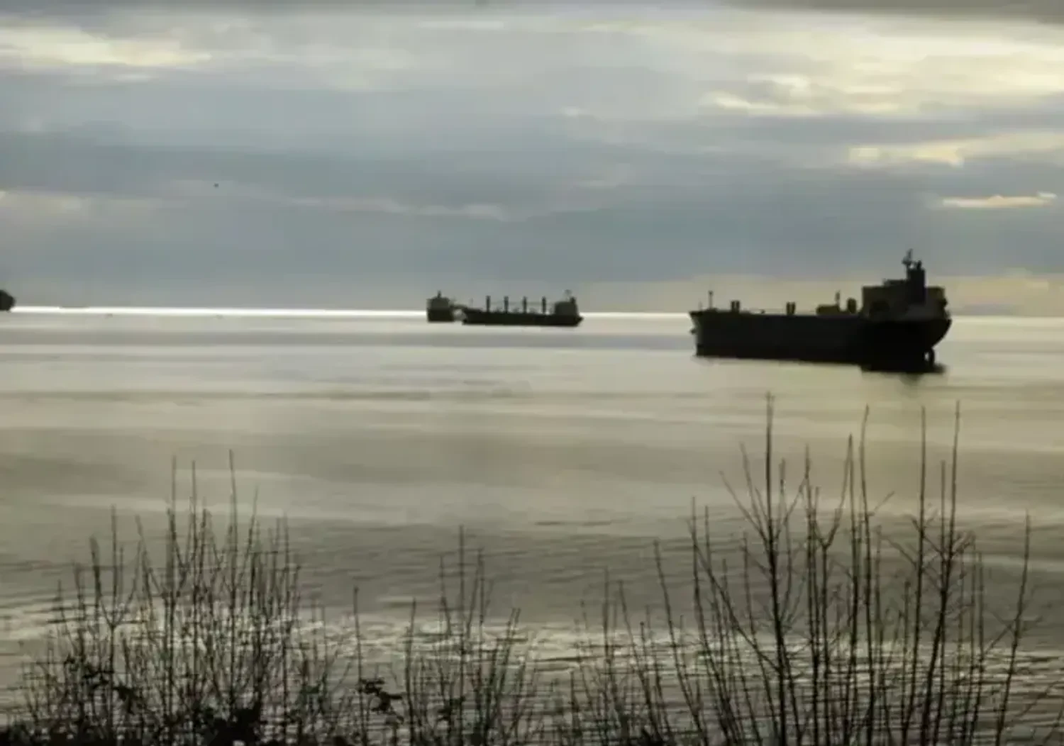 Українські Національні Новини (УНН)