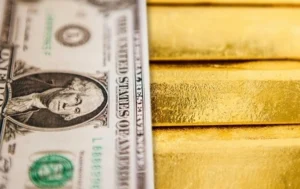 Українські Національні Новини (УНН)
