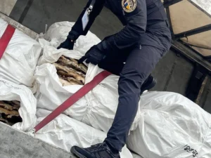 Приховував митну вартість хутра, але в результаті – втратив 10 млн грн: підприємець погорів на спробі зекономити