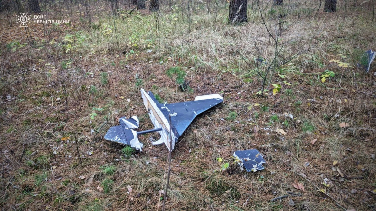 Українські Національні Новини (УНН)