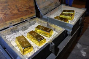 У Франції чоловік копав у саду басейн і знайшов скарб на €700 тисяч