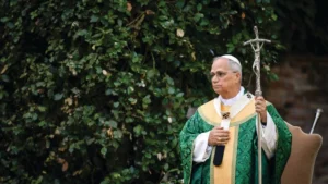 Українські Національні Новини (УНН)