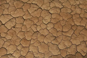 Англії загрожує найгірша посуха за десятиліття наступного року - The Guardian