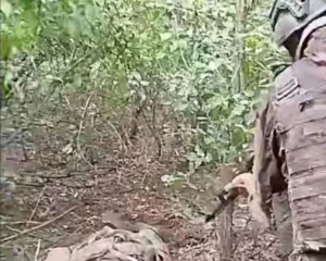 Окупанти розстріляли військовополоненого на Покровському напрямку - прокуратура