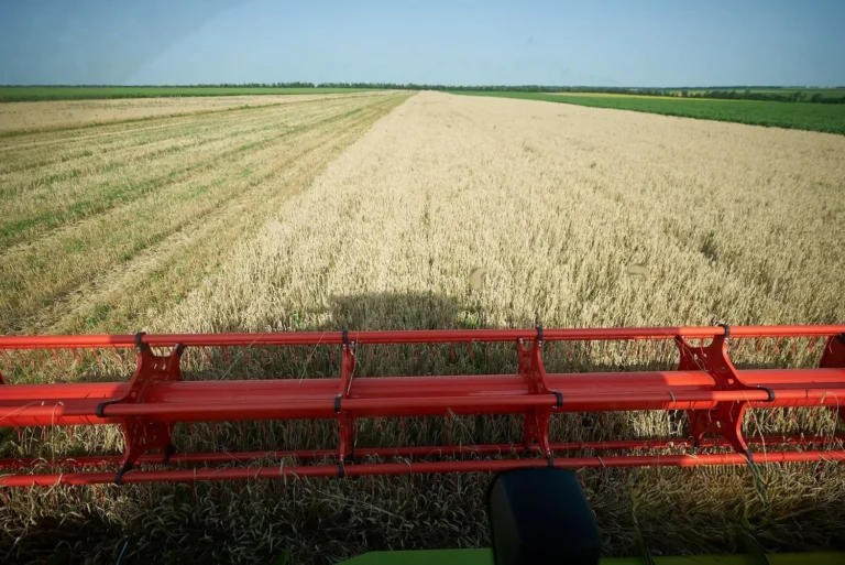 Україна завершує жнива: очікується до 60 млн тонн зерна і до 20 млн тонн олійних нового врожаю
