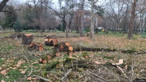 Українські Національні Новини (УНН)