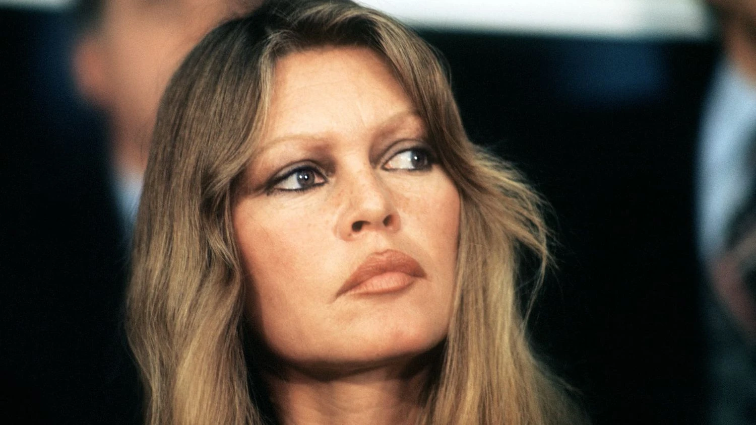 Українські Національні Новини (УНН)