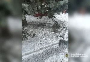 У Полтаві чоловік кинув гранату на вулиці: його затримали, від вибуху пошкоджено авто