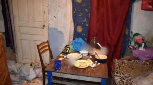 Українські Національні Новини (УНН)