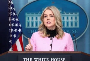 Українські Національні Новини (УНН)