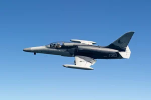 "Пообіцявши Україні літаки, президент повівся як слон у крамниці посуду": чому глава МЗС Чехії розкритикував Павла