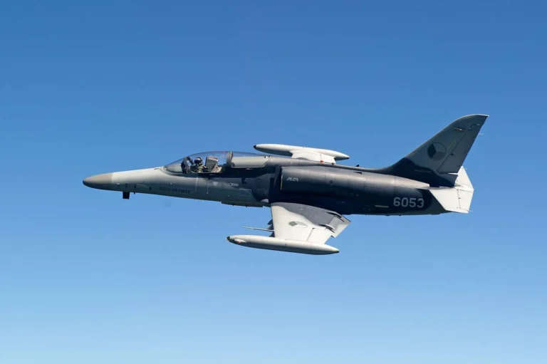 “Пообіцявши Україні літаки, президент повівся як слон у крамниці посуду”: чому глава МЗС Чехії розкритикував Павла