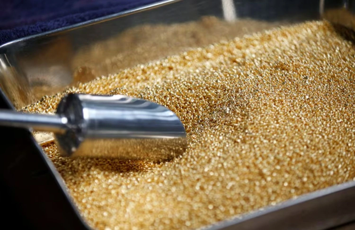 Українські Національні Новини (УНН)