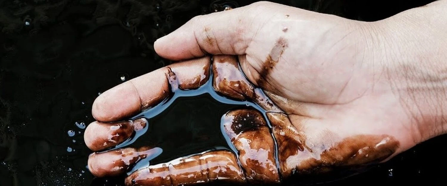 Українські Національні Новини (УНН)