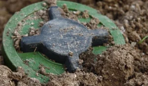 Українські Національні Новини (УНН)