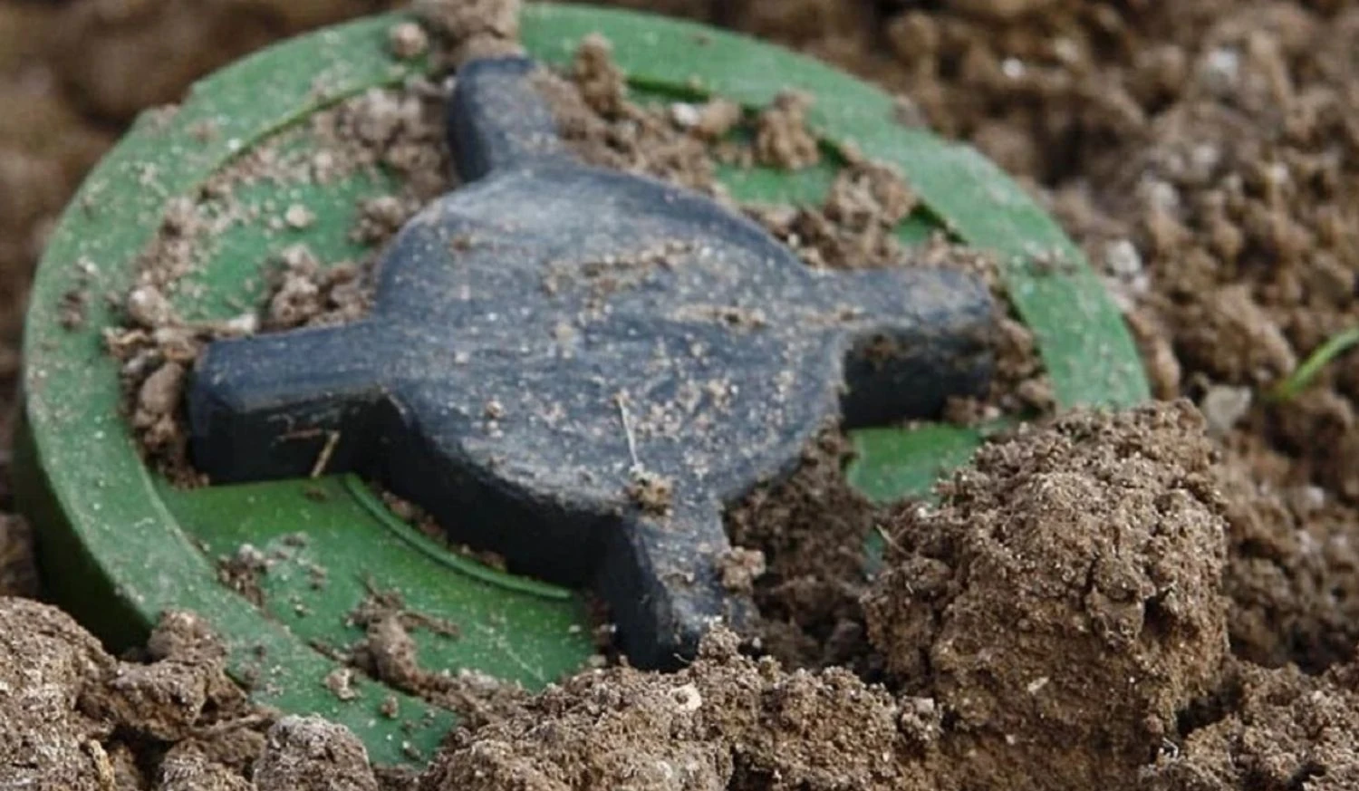 Українські Національні Новини (УНН)