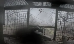 Під Запоріжжям бійці ГУР знищили штурмові групи та перерізали логістику росіян