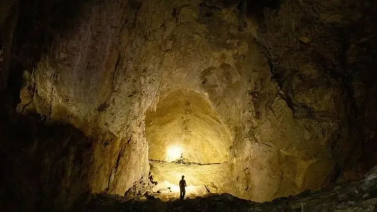 Відкриття у печерах Нью-Мексико змінює уявлення про можливість життя на інших планетахМікробіологи виявили в темних печерах бактерії, що фотосинтезують через інфрачервоне світло. Це розширює межі пошуку населених світів біля червоних зірок.Світ • 8 березня, 17:36 • 13067 перегляди