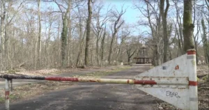 У лісі в Німеччині знайшли тіло 19-річної українки - ЗМІ