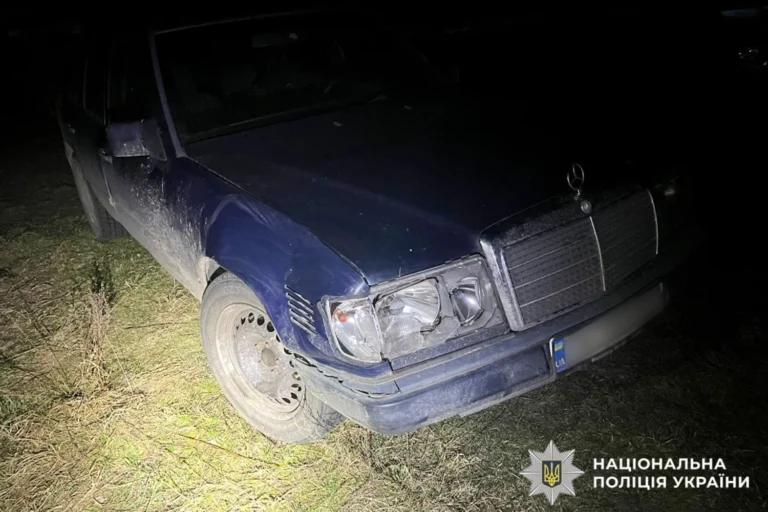 На Рівненщині автівка збила оленя-талісмана Бориса – що відомо