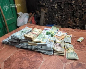 На Закарпатті затримали голову ВЛК, в якого вилучили близько 11 млн грн готівки