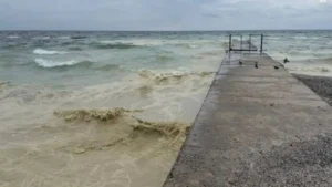 Забруднення Чорного моря олією - еколог пояснив наслідки удару рф по портовій інфраструктурі