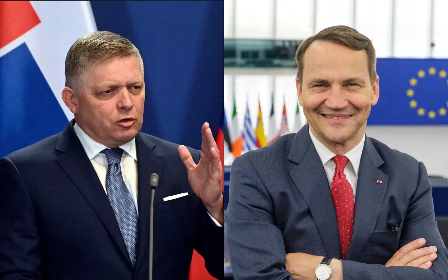Сікорський: Польща пробачить Фіцо візит до москви за умови розблокування допомоги Україні