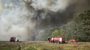 Масштабну пожежу на 70 гектарів під Києвом спричинила ворожа диверсія -