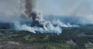 Українські Національні Новини (УНН)