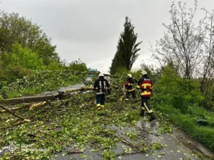 Повалені дерева та заблоковані дороги - негода охопила низку областей України